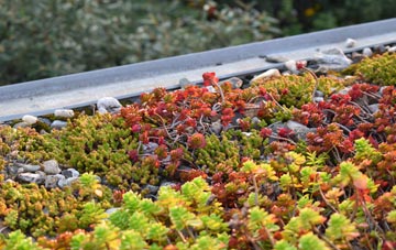 the cost of Buglawton green roof installation
