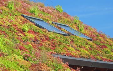 Buglawton living roof systems